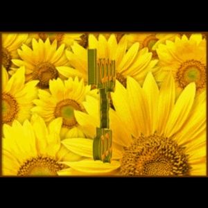 Meet your Posher, Valerie